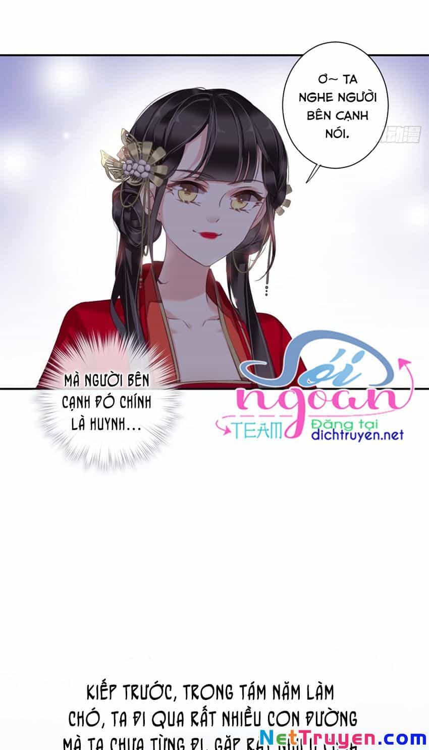 Quận Chúa Bất Tư Gia - Chương 19 - ảnh 19