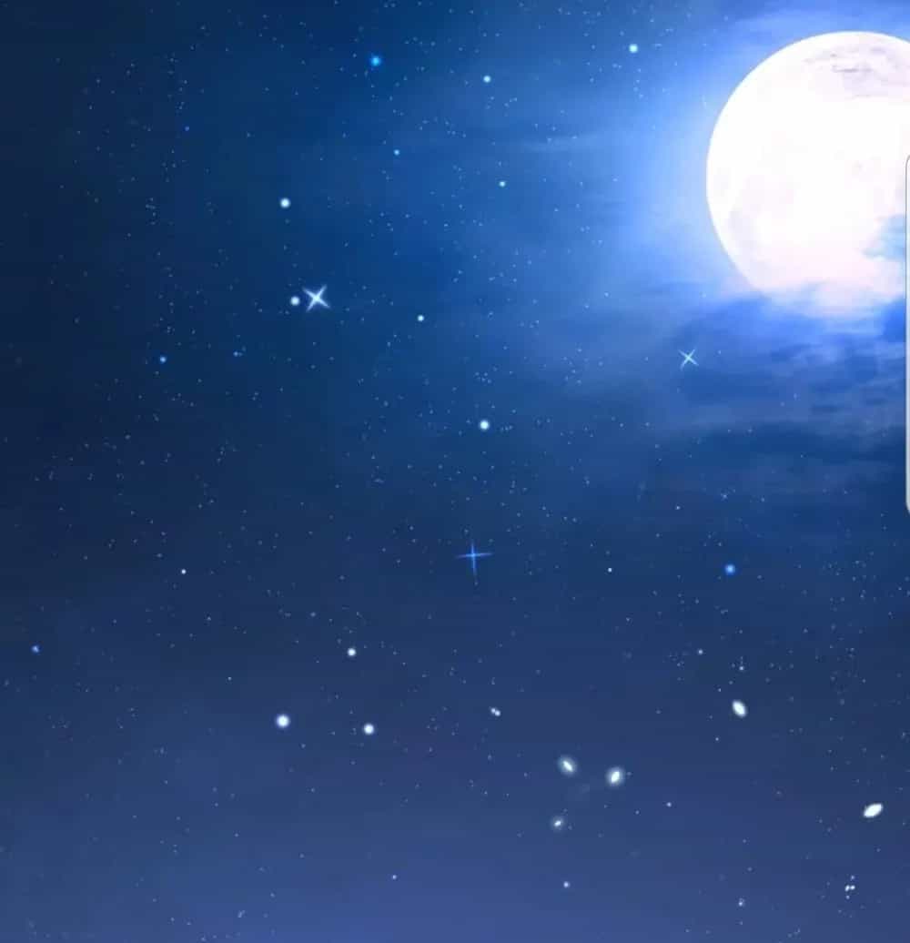 Quận Chúa Cẩn Thận, Đã Định Rồi Khó Đổi Lắm! - Chương 14.5 - ảnh 22