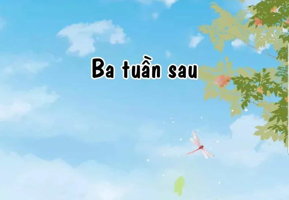 Quận Chúa Cẩn Thận, Đã Định Rồi Khó Đổi Lắm! - Chương 20.5 - ảnh 15