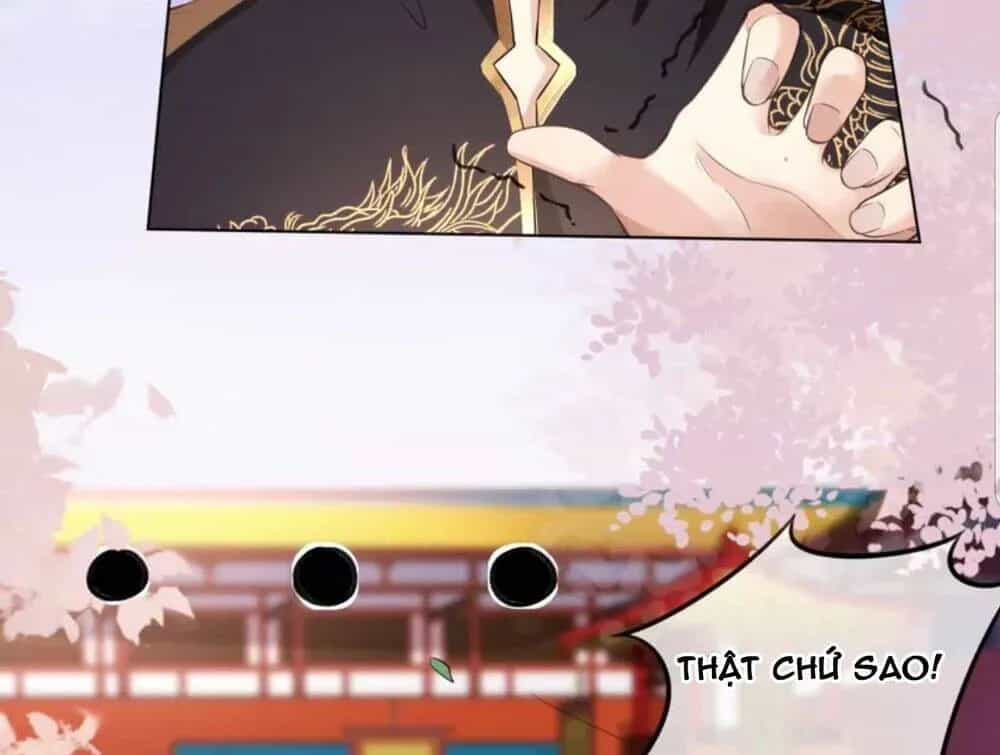 Quận Chúa Cẩn Thận, Đã Định Rồi Khó Đổi Lắm! - Chương 25.5 - ảnh 8