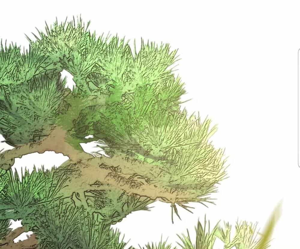 Quận Chúa Cẩn Thận, Đã Định Rồi Khó Đổi Lắm! - Chương 7 - ảnh 7