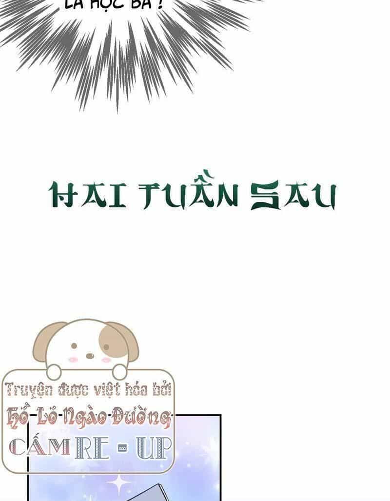 Quận Chúa Vững Vàng, Thiết Lập Nhân Vật Không Thể Vỡ - Chương 14 - ảnh 34