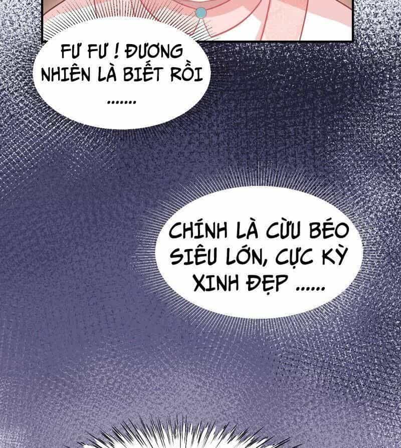 Quận Chúa Vững Vàng, Thiết Lập Nhân Vật Không Thể Vỡ - Chương 2 - ảnh 50