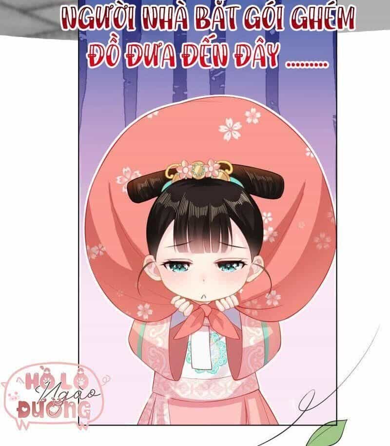 Quận Chúa Vững Vàng, Thiết Lập Nhân Vật Không Thể Vỡ - Chương 24 - ảnh 25