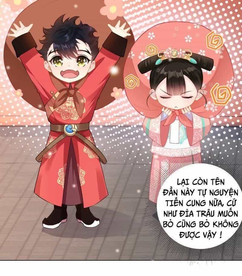 Quận Chúa Vững Vàng, Thiết Lập Nhân Vật Không Thể Vỡ - Chương 24 - ảnh 27