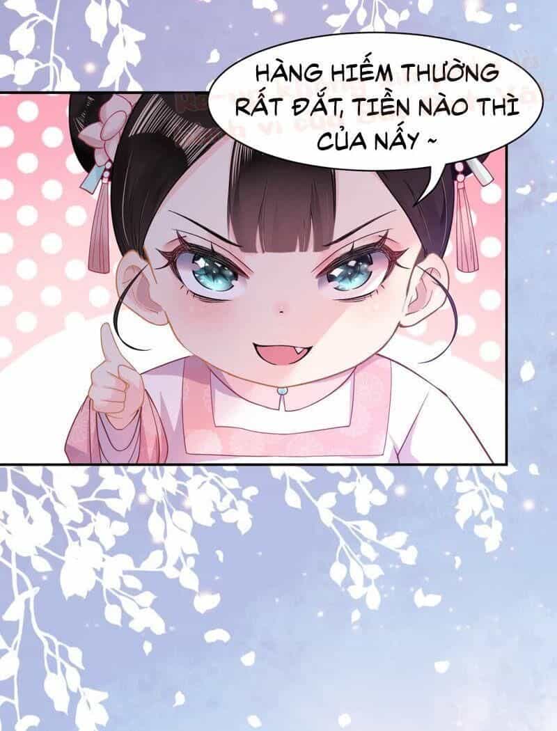 Quận Chúa Vững Vàng, Thiết Lập Nhân Vật Không Thể Vỡ - Chương 3 - ảnh 7