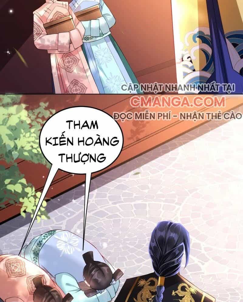 Quận Chúa Vững Vàng, Thiết Lập Nhân Vật Không Thể Vỡ - Chương 35 - ảnh 24