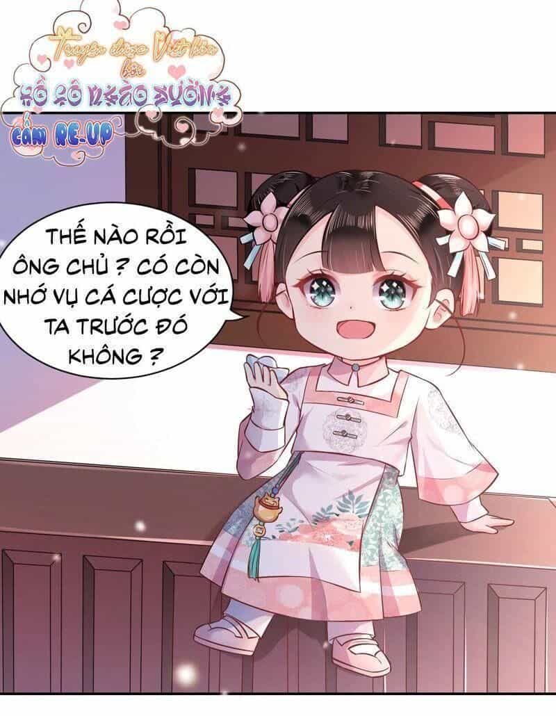 Quận Chúa Vững Vàng, Thiết Lập Nhân Vật Không Thể Vỡ - Chương 4 - ảnh 33
