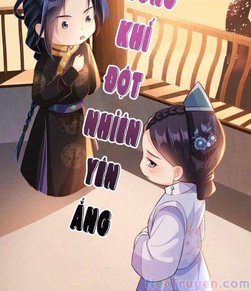 Quận Chúa Vững Vàng, Thiết Lập Nhân Vật Không Thể Vỡ - Chương 50 - ảnh 23