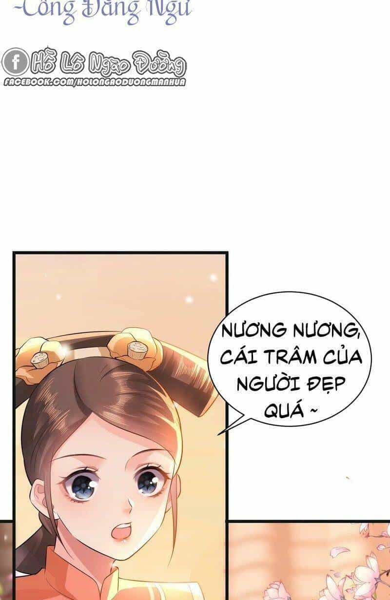 Quận Chúa Vững Vàng, Thiết Lập Nhân Vật Không Thể Vỡ - Chương 55 - ảnh 3