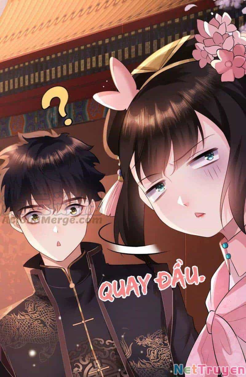 Quận Chúa Vững Vàng, Thiết Lập Nhân Vật Không Thể Vỡ - Chương 78 - ảnh 17