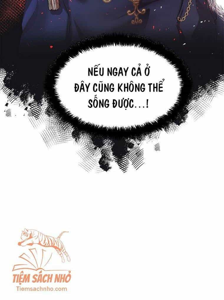 Quãng Đời Còn Lại Của Nữ Phụ Yểu Mệnh - Chương 11 - ảnh 27