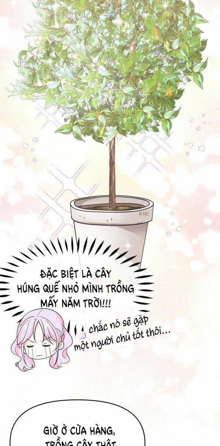Quay Về Quá Khứ Mở Tiệm Bánh Kẹo - Chương 14.1 - ảnh 20