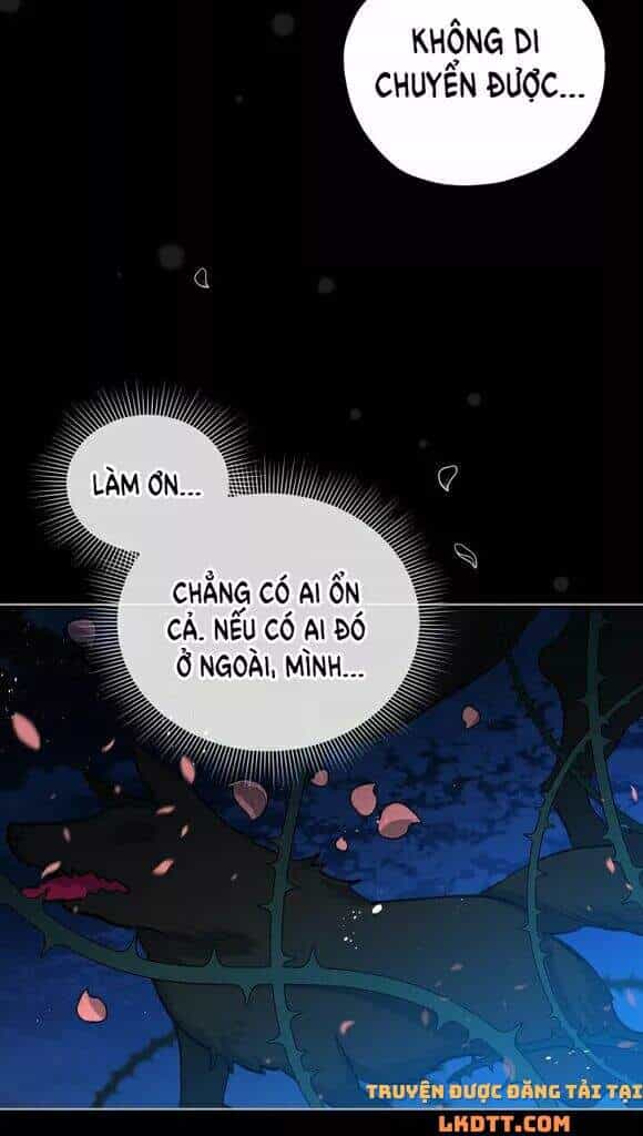 Quý Cô Khó Gần - Chương 19 - ảnh 49