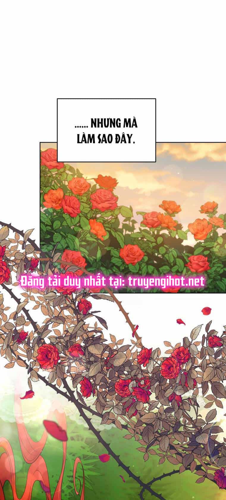 Quý Cô Khó Gần - Chương 66 - ảnh 65