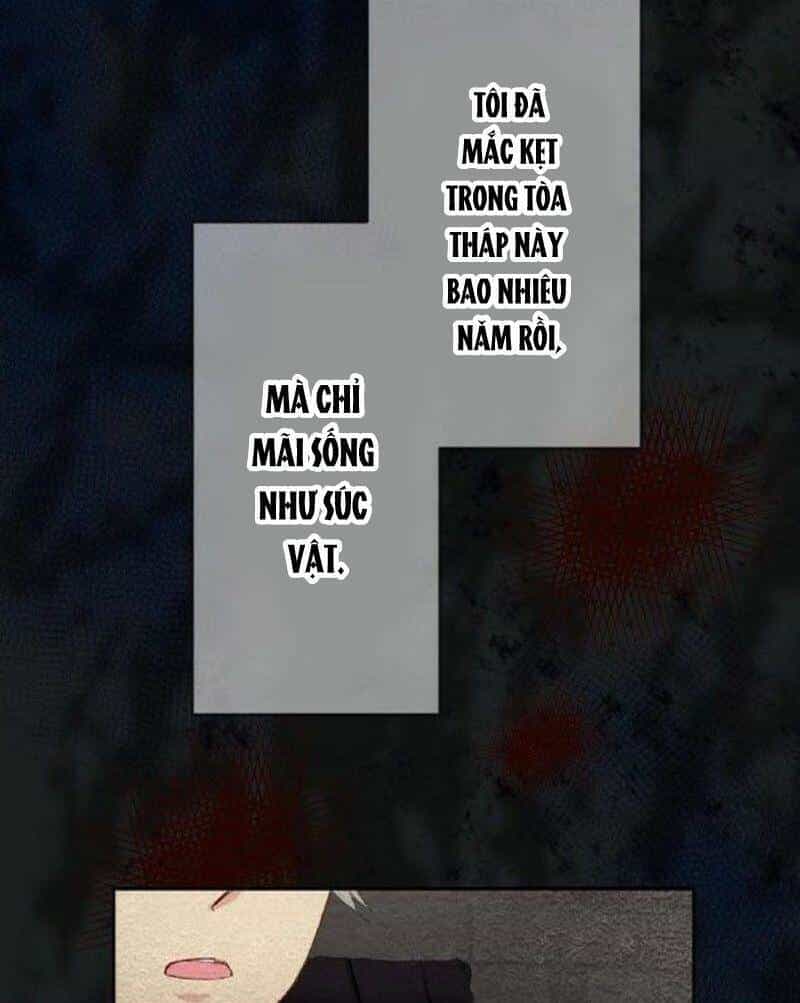 Quý Cô Không Rơi Nước Mắt - Chương 1 - ảnh 67