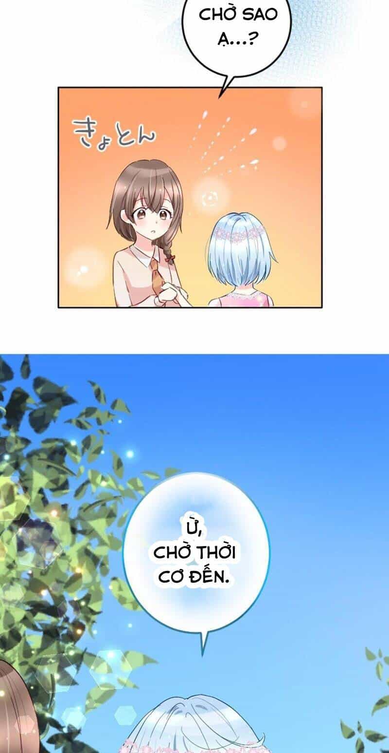 Quý Cô Không Rơi Nước Mắt - Chương 8 - ảnh 12
