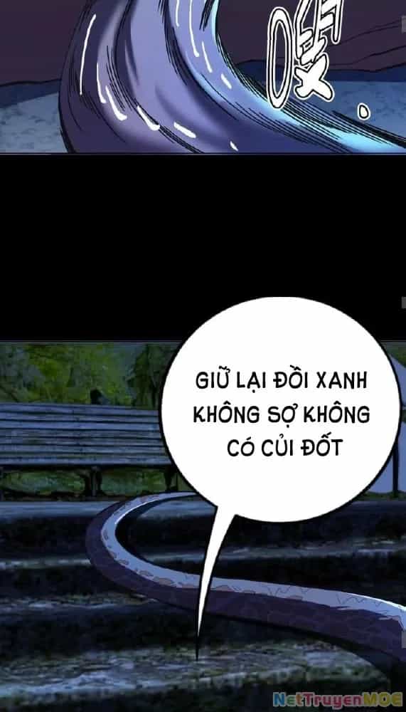 Quỷ Dị Khôi Phục: Ta Có Thể Hóa Thân Thành Đại Yêu - Chương 206 - ảnh 19