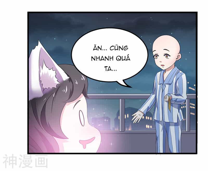 Quy Luật Năm Bản Mệnh Của Hồ Ly - Chương 2 - ảnh 6