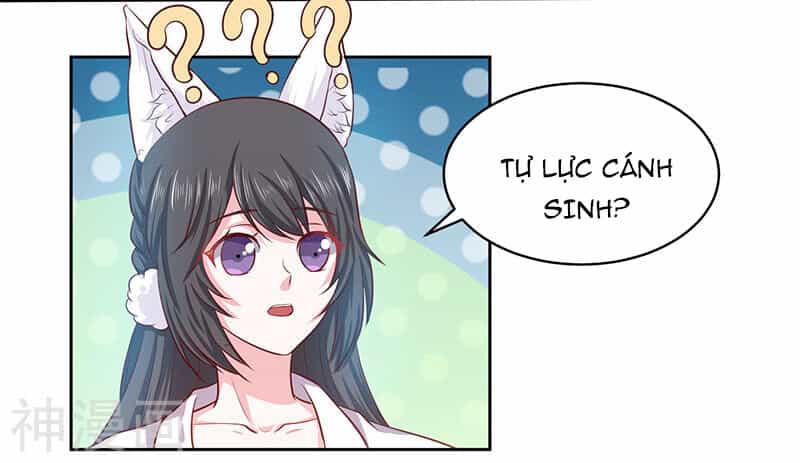 Quy Luật Năm Bản Mệnh Của Hồ Ly - Chương 9 - ảnh 21