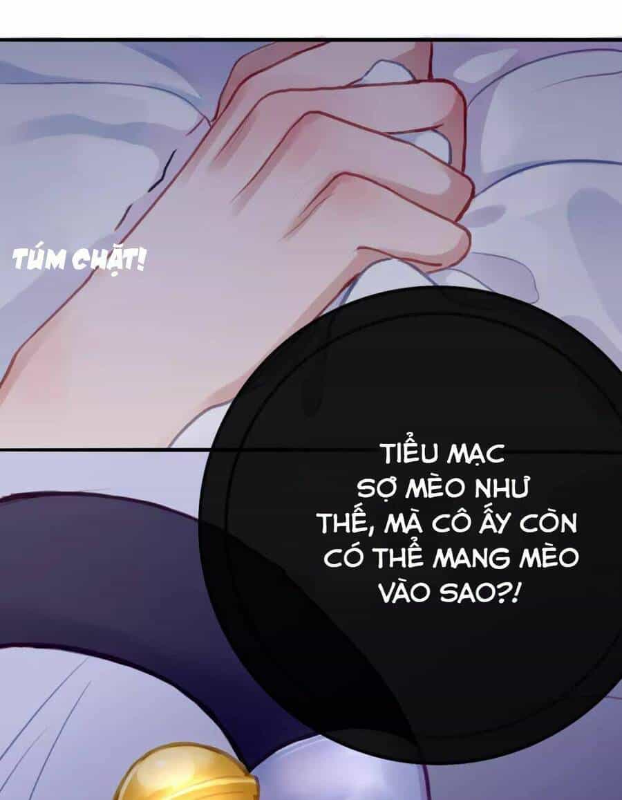 Quy Luật Tình Yêu - Chương 5 - ảnh 6
