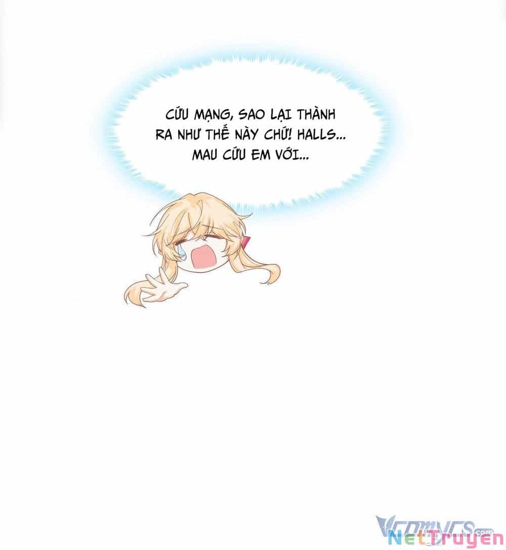 Quy Luật Yêu Đương Của Hải Vương - Chương 6 - ảnh 11