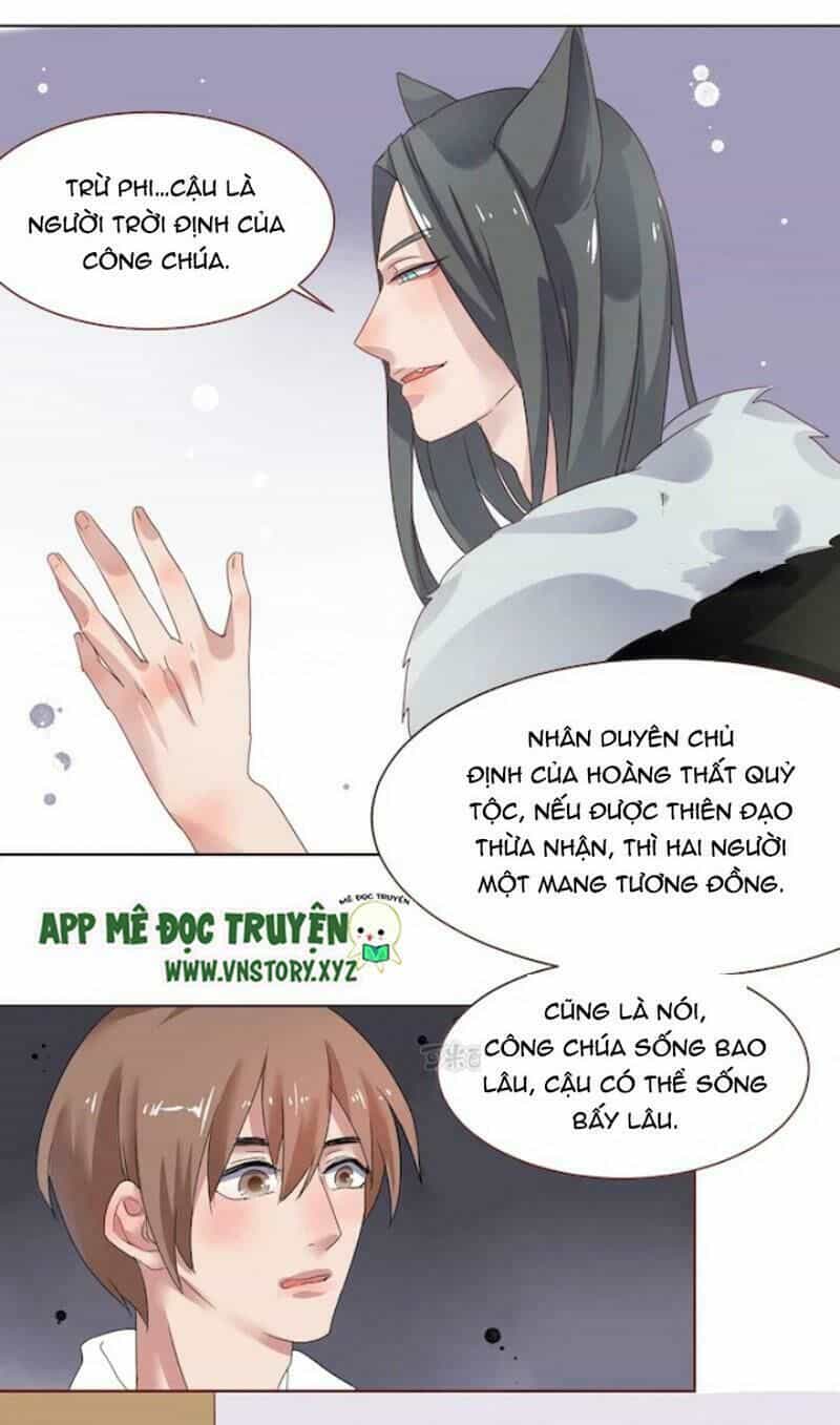 Quỷ Oa Kiều Thê Của Tôi - Chương 36 - ảnh 4