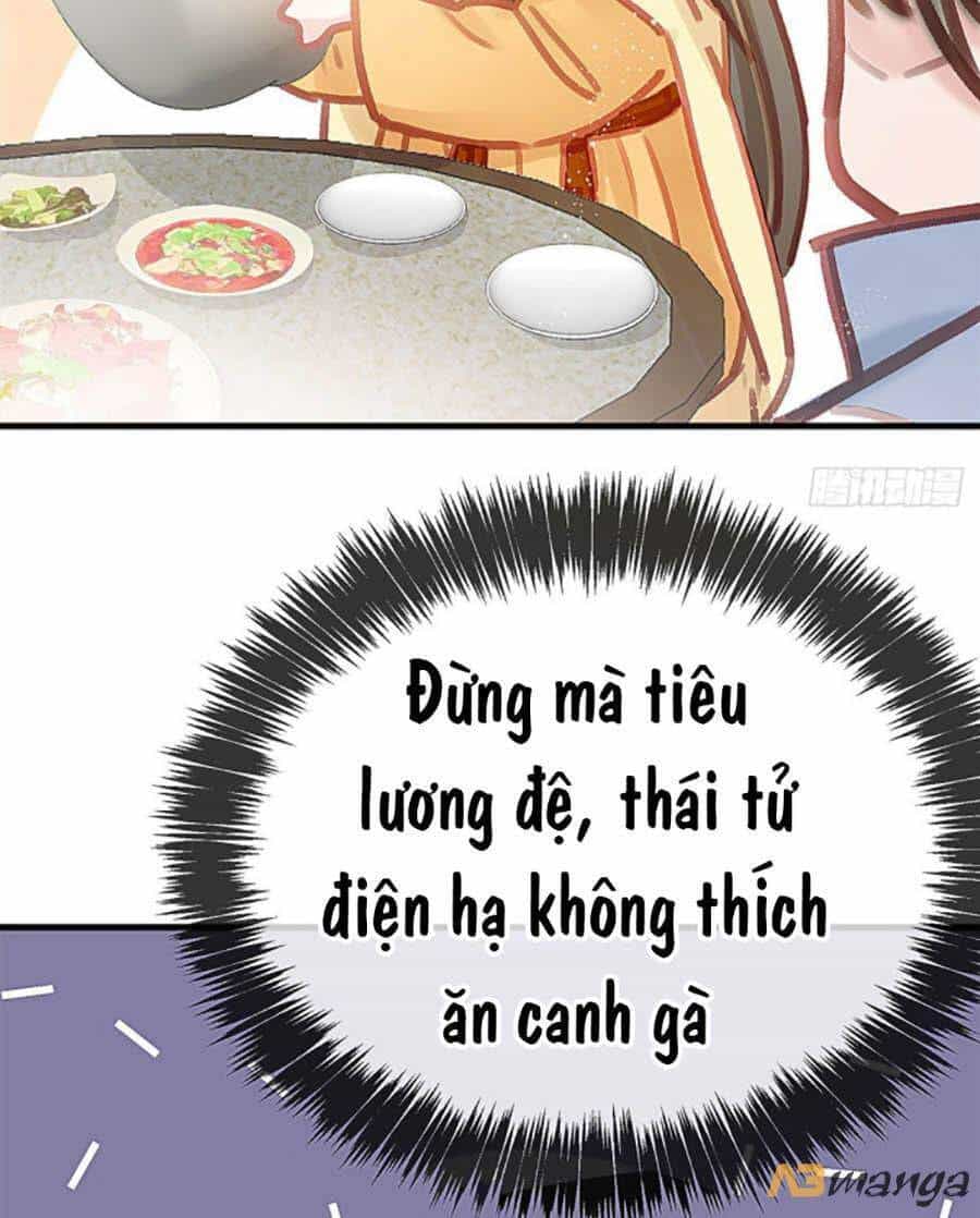 Quý Phi Muốn Trở Thành Con Cá Mặn Mòi - Chương 19 - ảnh 39