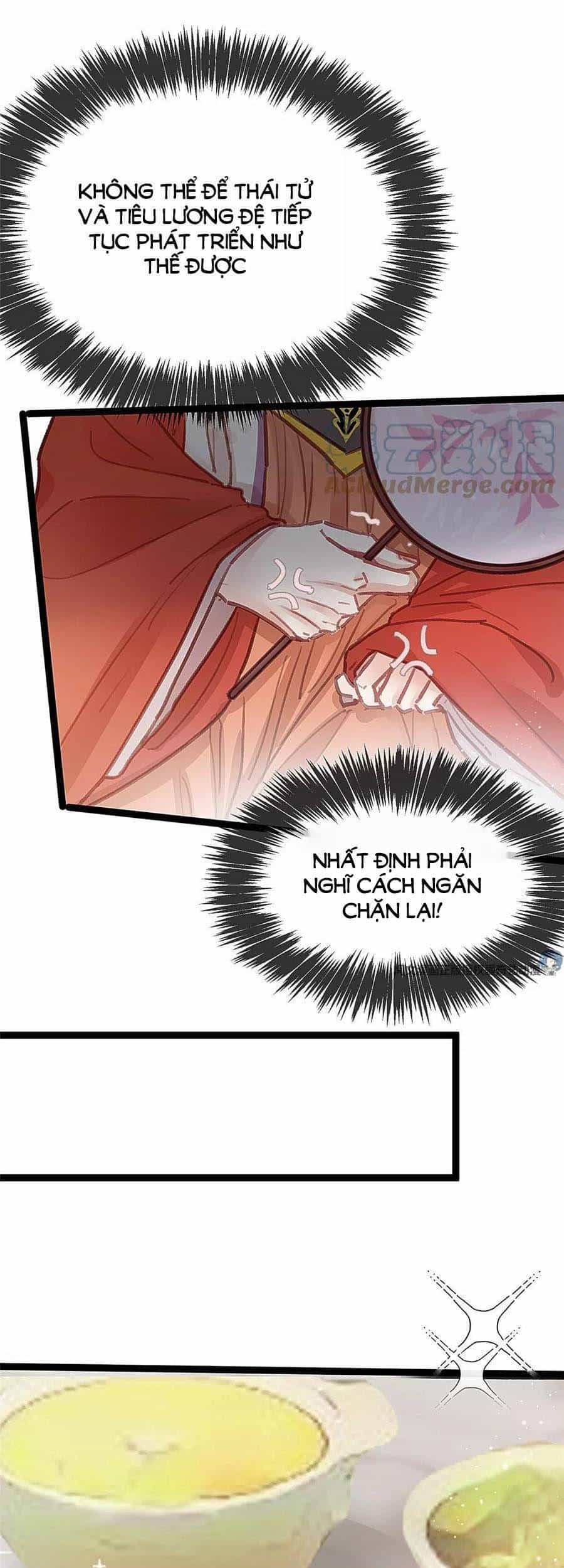 Quý Phi Muốn Trở Thành Con Cá Mặn Mòi - Chương 29 - ảnh 11