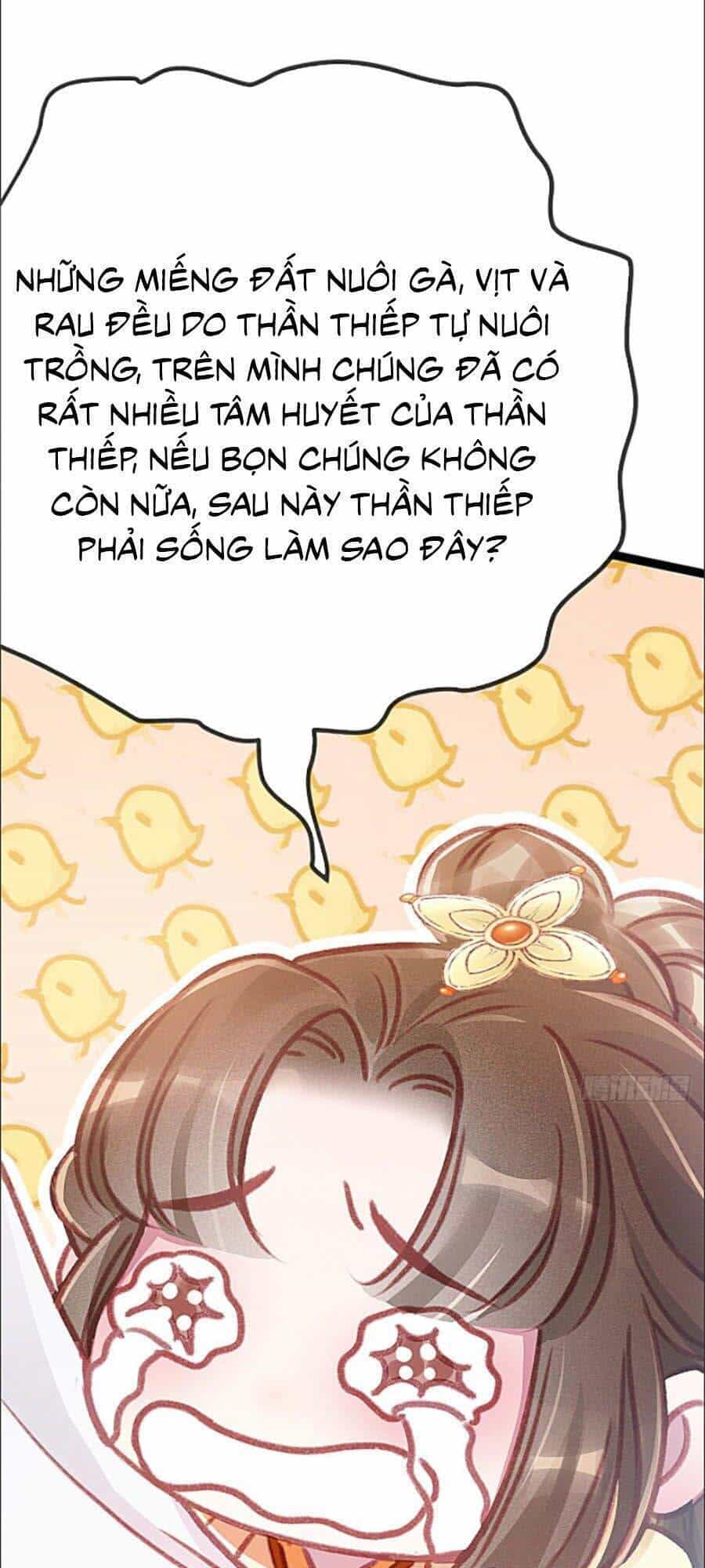 Quý Phi Muốn Trở Thành Con Cá Mặn Mòi - Chương 4 - ảnh 1