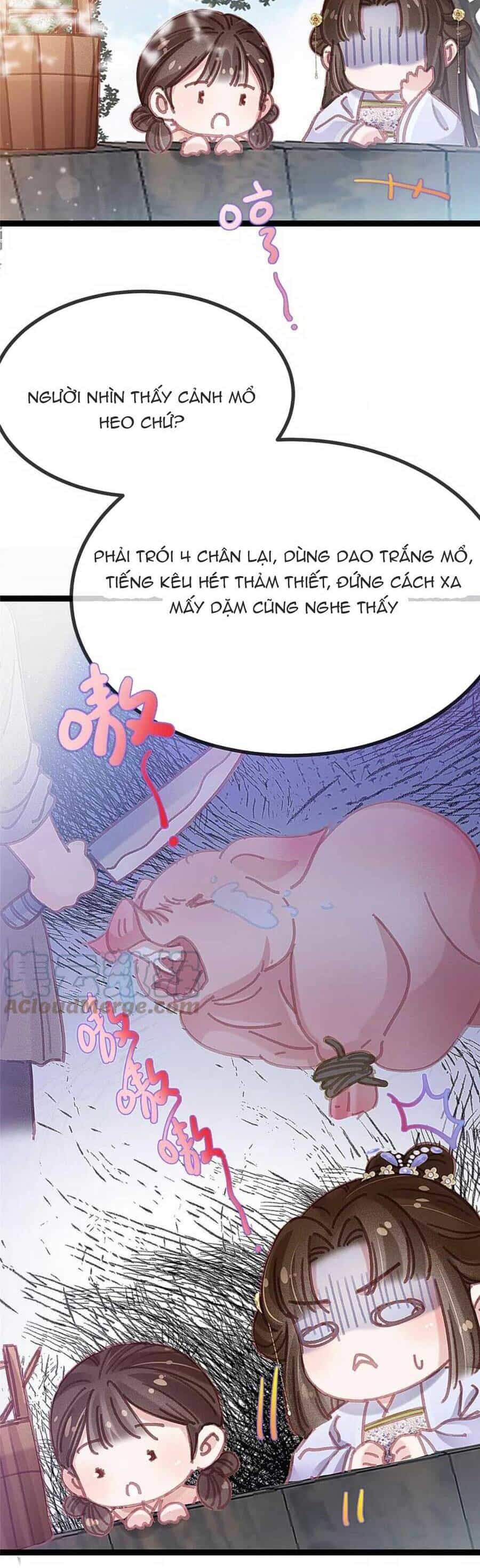 Quý Phi Muốn Trở Thành Con Cá Mặn Mòi - Chương 80 - ảnh 6