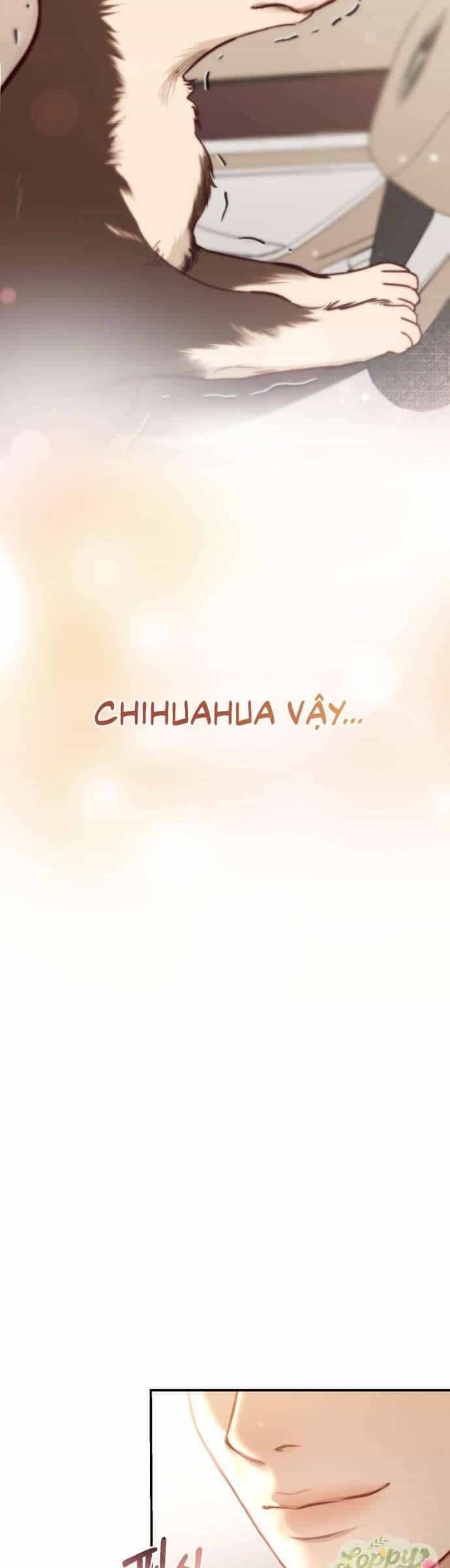 Quyền Lực Của Thư Ký - Chương 2 - ảnh 41