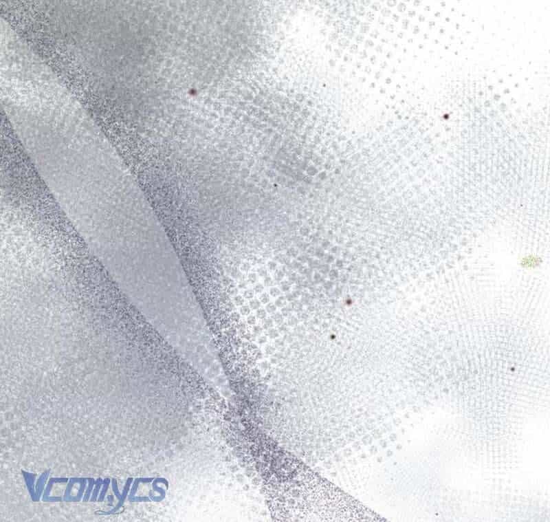 Quyền Lực Của Thư Ký - Chương 20 - ảnh 29