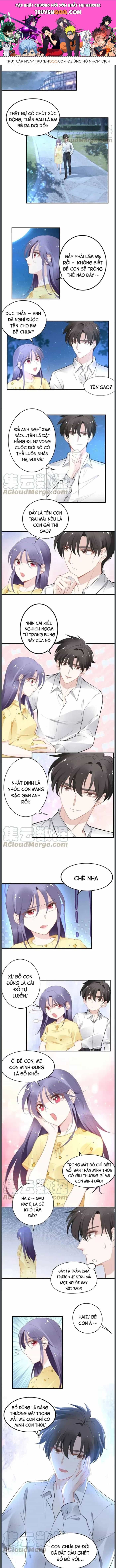Quyền Thiểu, Nhĩ Lão Bà Yêu Bào Liễu - Chương 65 - ảnh 1