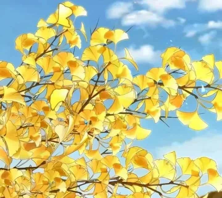 Quyền Vương Phục Sinh - Chương 51 - ảnh 26