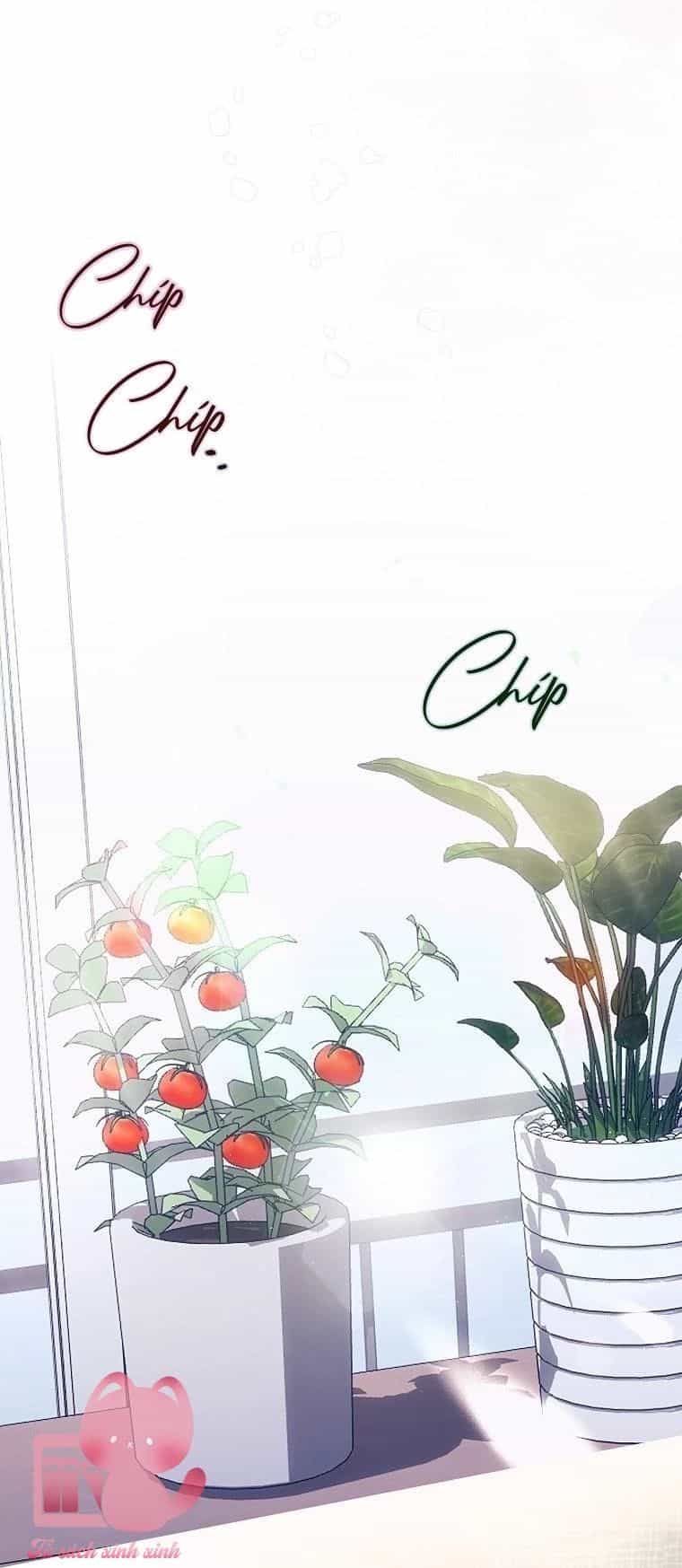 Ra Mắt Hay Ra Đi - Chương 65.5 - ảnh 35