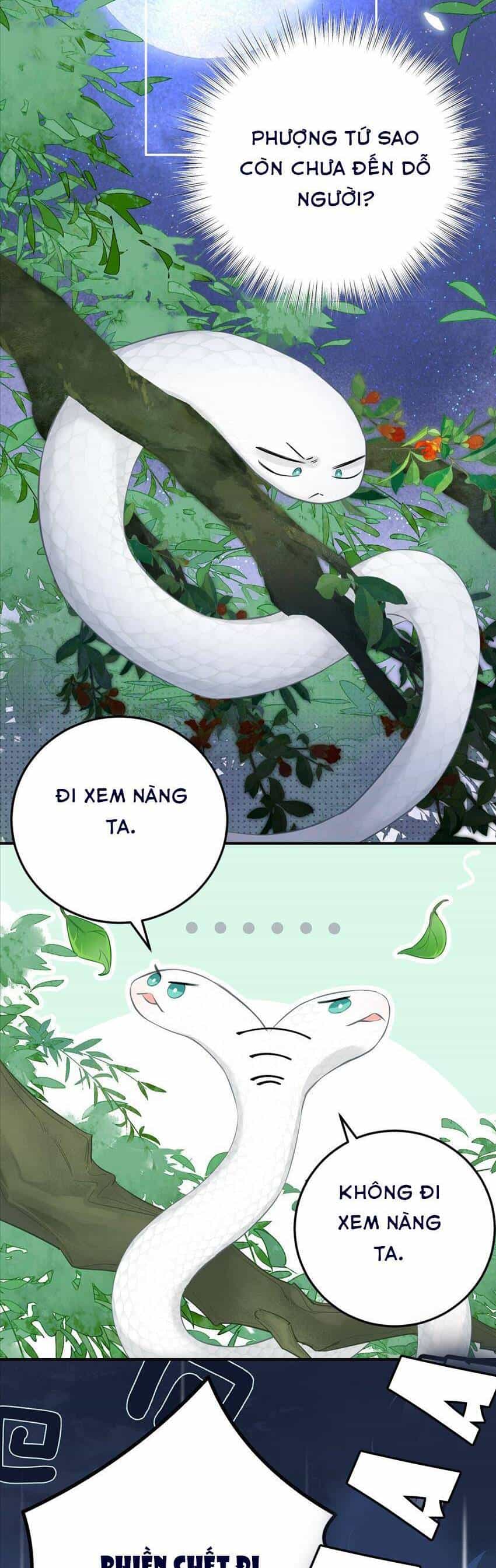 Rắn Cưng Nhà Tôi Lại Đang Diễn Trò Với Tôi - Chương 6 - ảnh 4
