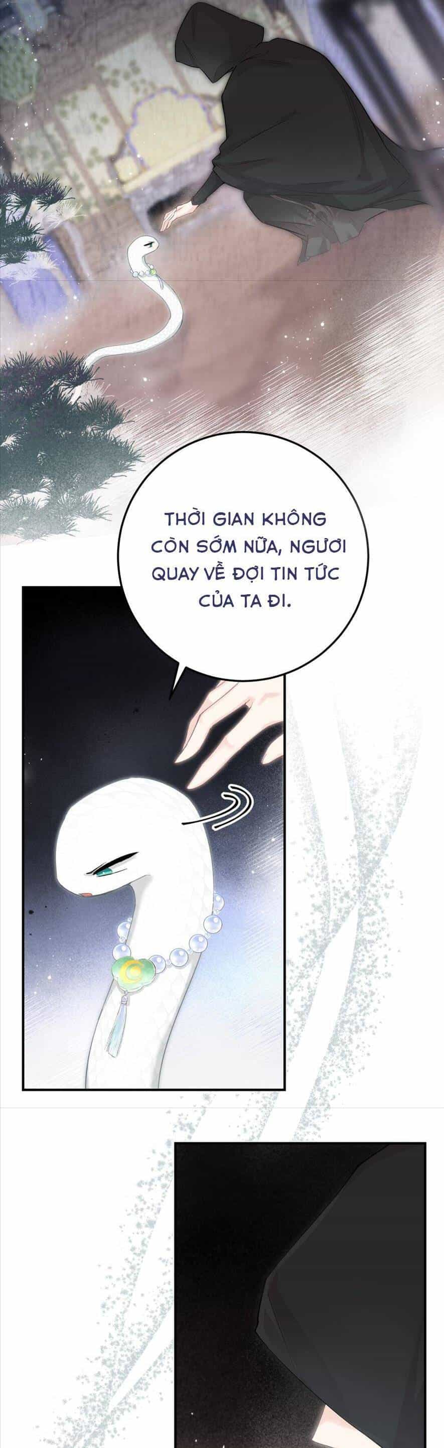 Rắn Cưng Nhà Tôi Lại Đang Diễn Trò Với Tôi - Chương 8 - ảnh 8