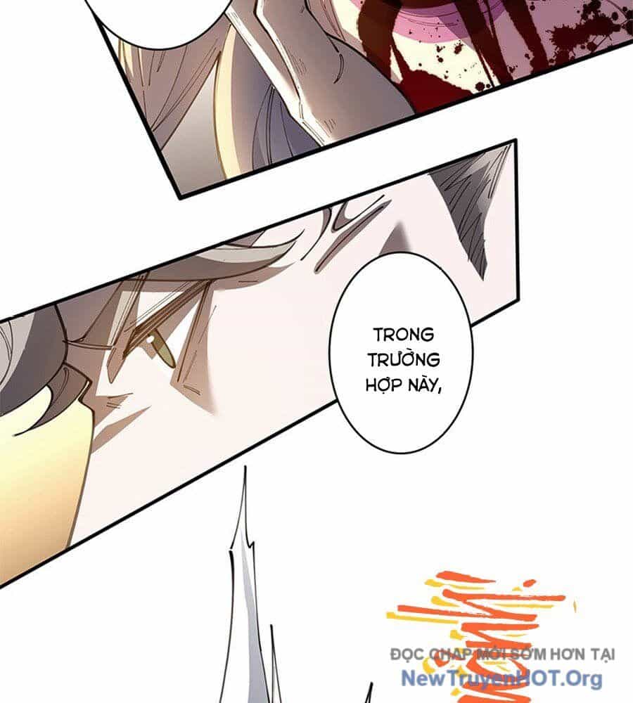 Ranker Sss Được Chọn - Chương 10 - ảnh 19
