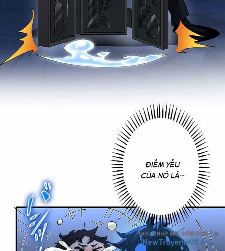 Ranker Sss Được Chọn - Chương 13 - ảnh 19