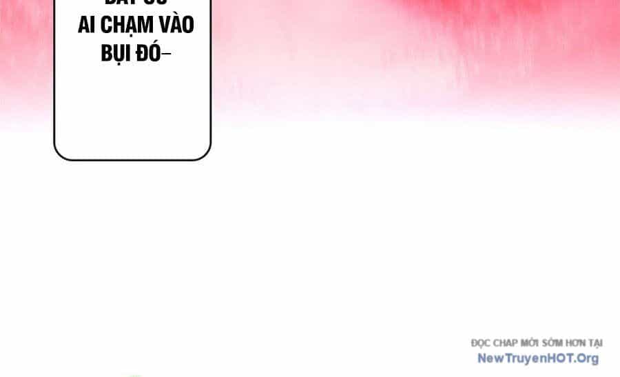 Ranker Sss Được Chọn - Chương 14 - ảnh 16