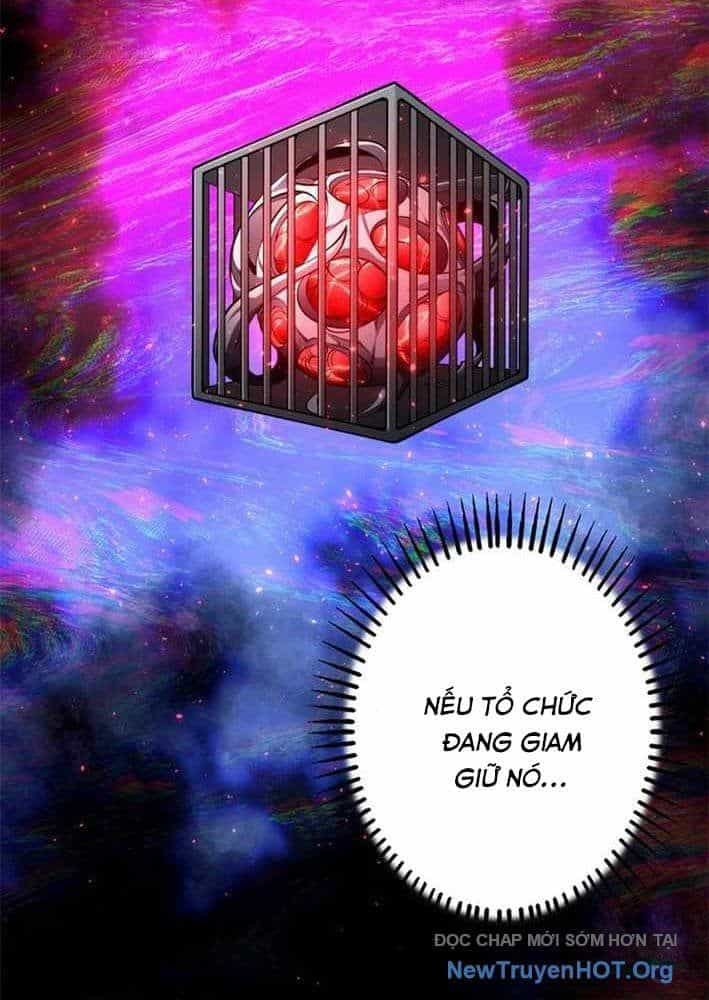 Ranker Sss Được Chọn - Chương 29 - ảnh 52