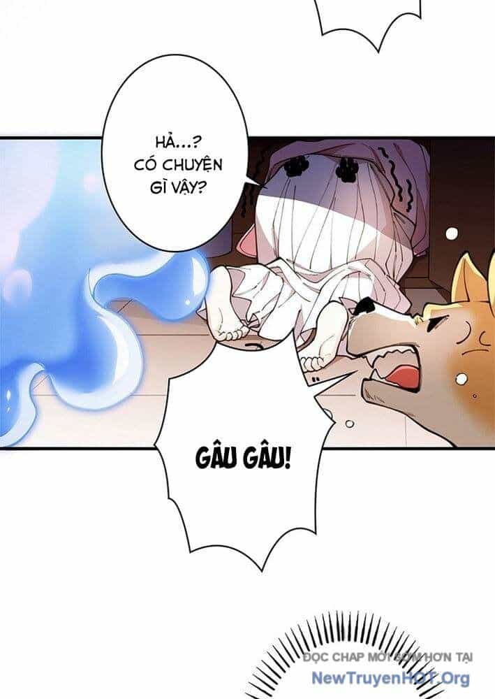 Ranker Sss Được Chọn - Chương 3 - ảnh 7