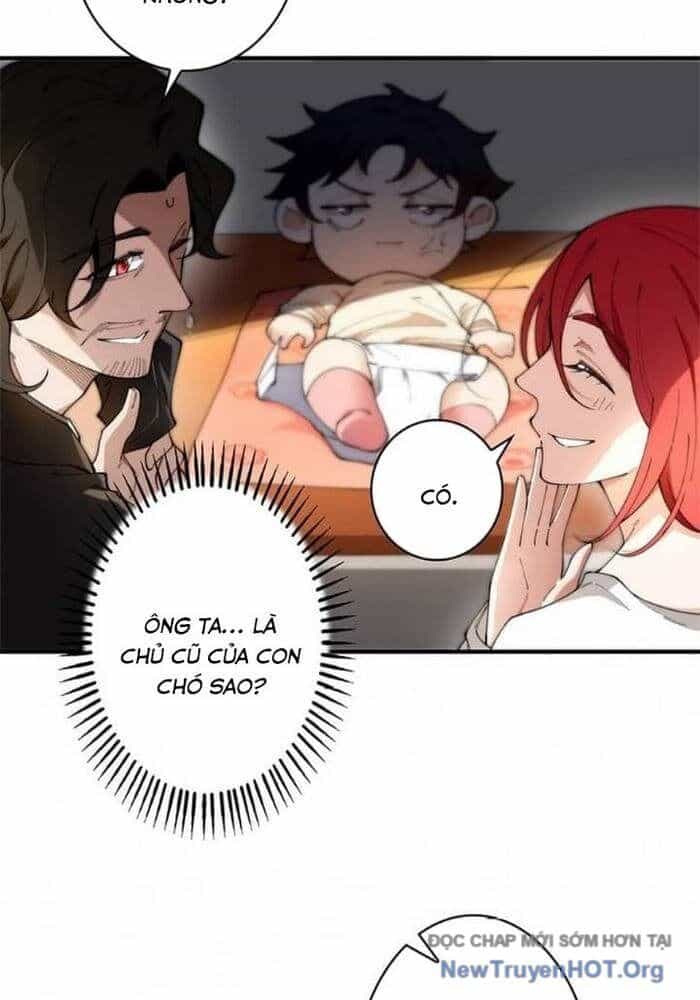 Ranker Sss Được Chọn - Chương 8 - ảnh 4
