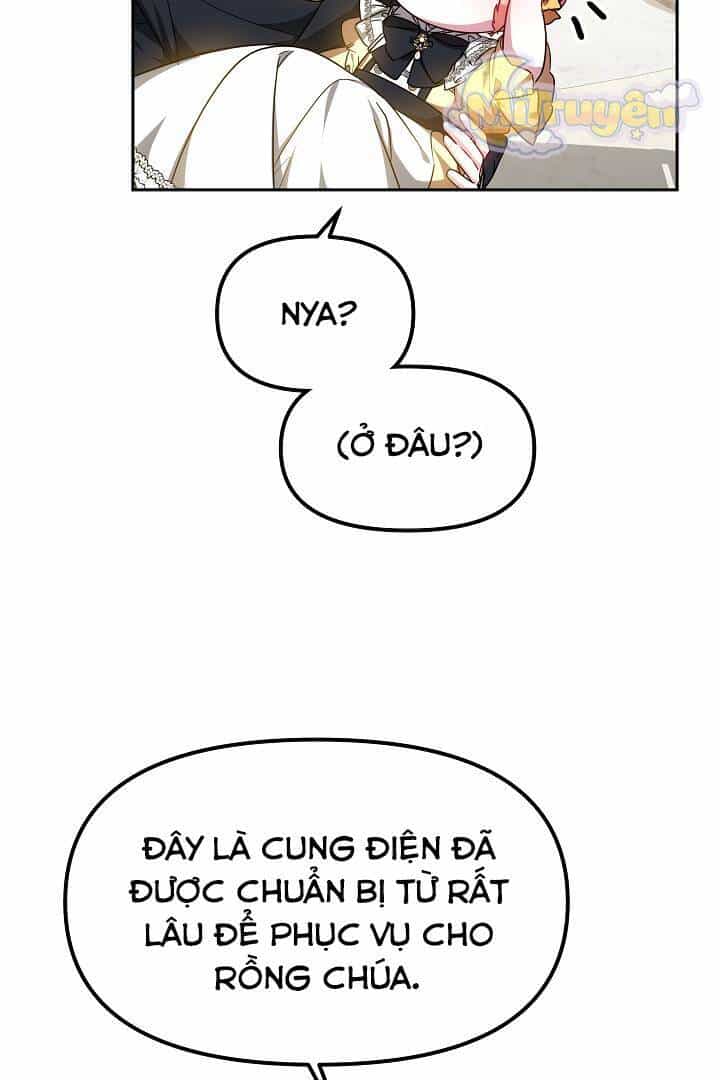 Rồng Con Thuần Hóa Những Kẻ Điên Rồ - Chương 15 - ảnh 53