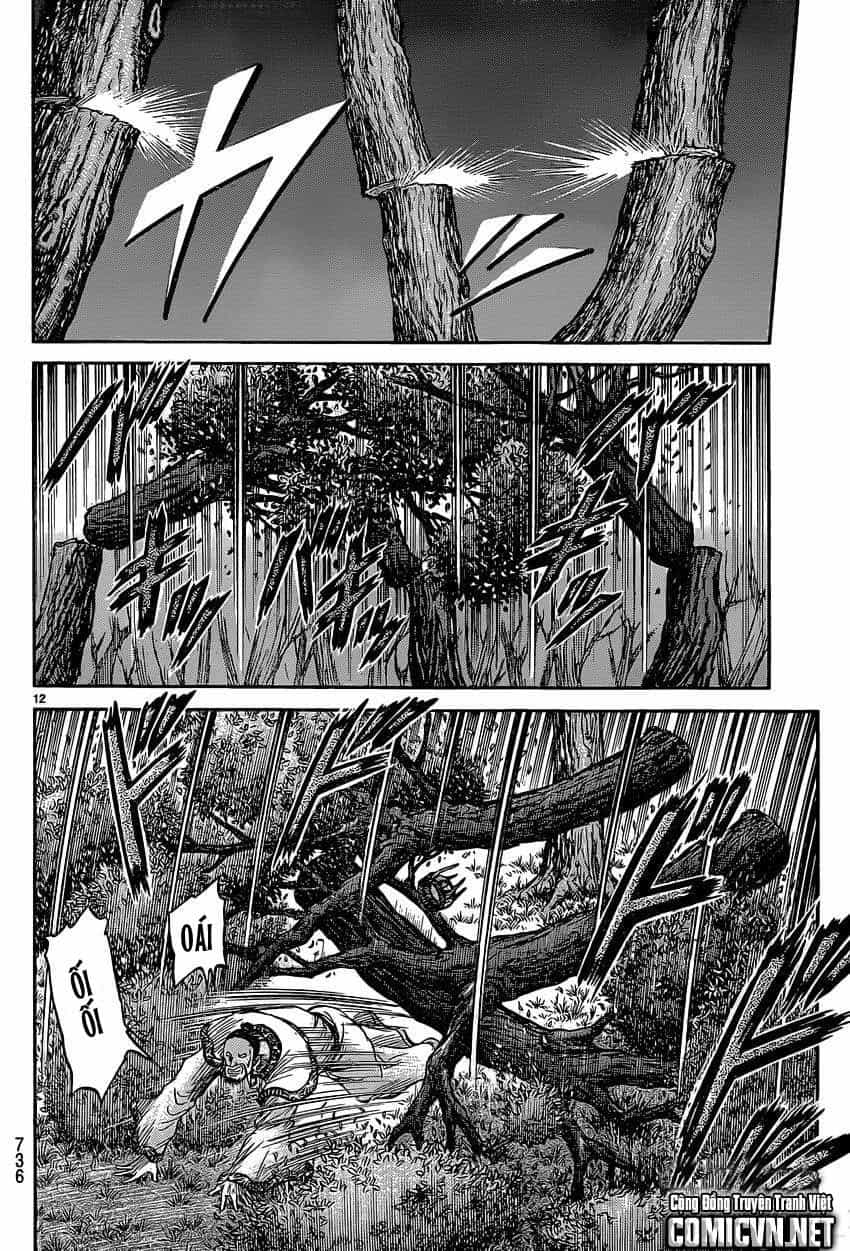 Ryuuroden - Chú Bé Rồng - Chương 241 - ảnh 11