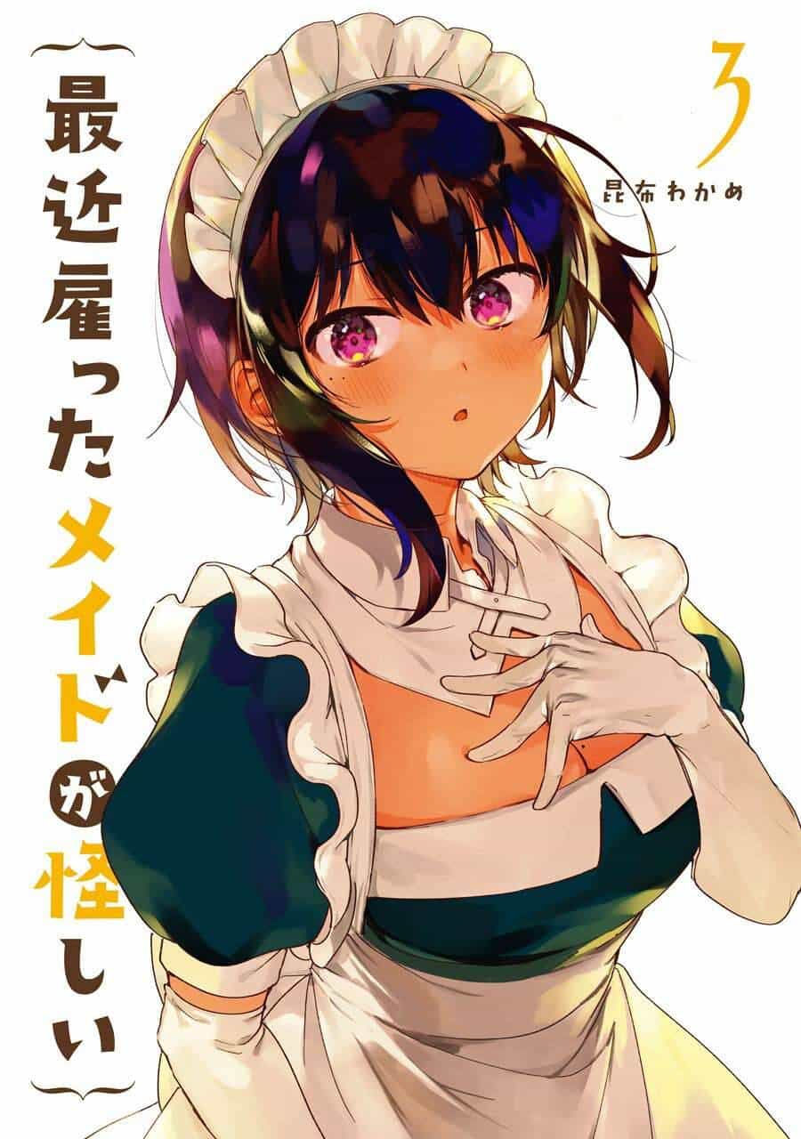 Saikin Yatotta Meido Ga Ayashii - Chương 25 - ảnh 3