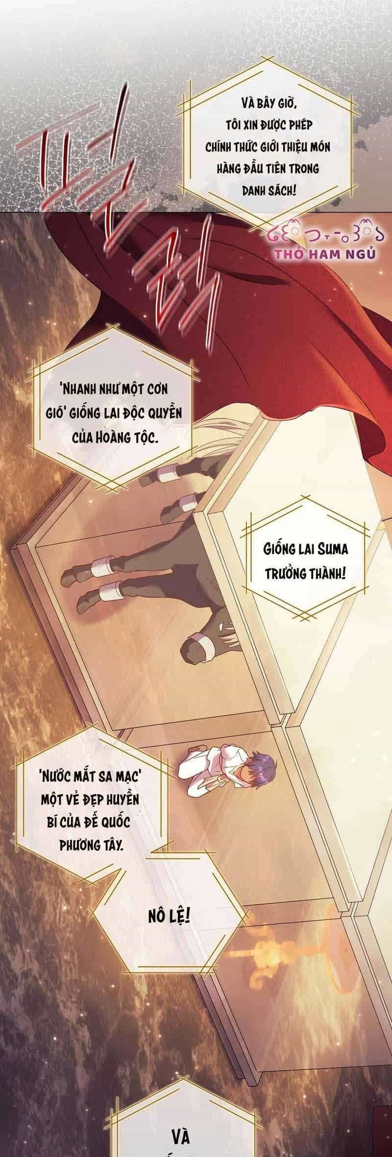 Sao Tôi Có Thể Li Hôn Khi Còn Chưa Kết Hôn Đây, Thưa Bệ Hạ - Chương 10 - ảnh 19