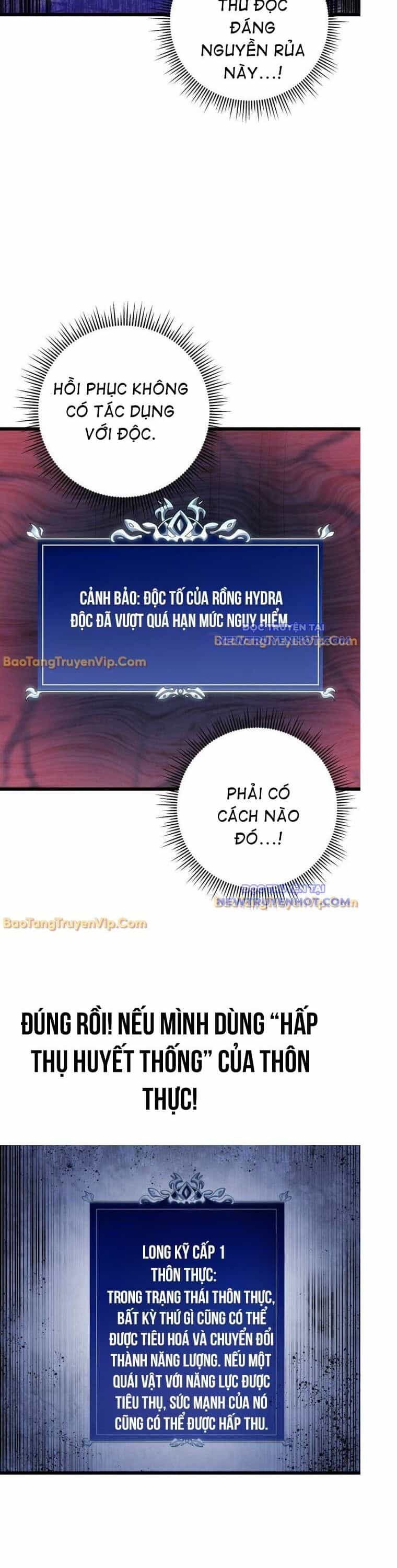 Sát Long Nhân Hồi Quy Siêu Việt - Chương 33 - ảnh 38