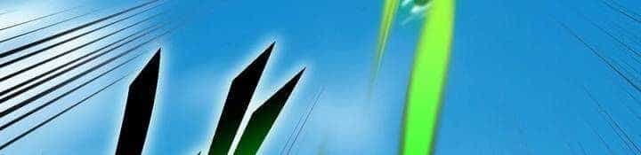 Sát Thủ Mạnh Nhất Chuyển Sinh Sang Thế Giới Khác - Chương 45 - ảnh 487